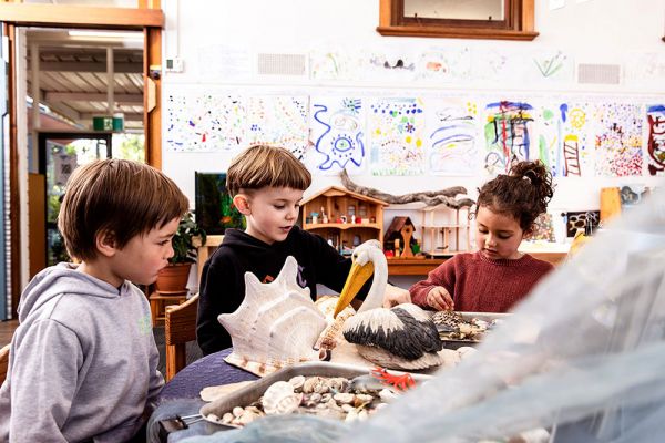 Children playing with shells in a classroom